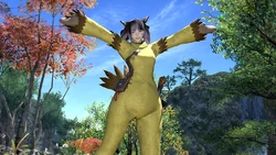 A Miqo'te wearing the Chocobo Suit in Final Fantasy XIV: A Realm Reborn.