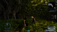 Myrlwood2-FFXV