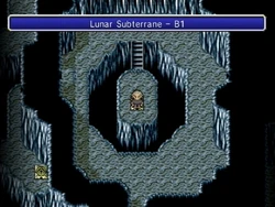 Final Fantasy IV: The After Years (Wii).