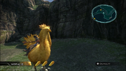 Fang rides a chocobo from FFXIII