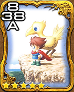 108a FFV Illustration.png (156 KB) Bartz and Boko