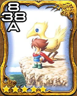Bartz and Boko
