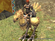 Riding a chocobo.