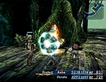 FFXII Protect