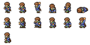 Set of Palom's Wardrobe Record sprites.