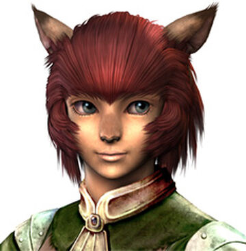 Final Fantasy XI characters, Final Fantasy Wiki