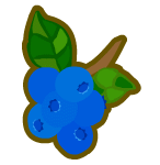 Blueberry CCT