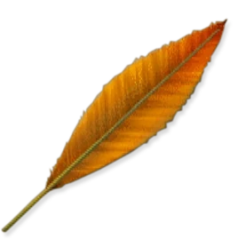 Seraph Comb from FFVII concept art