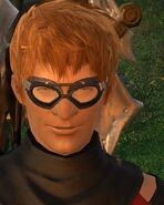 The wandering minstrel in Final Fantasy XIV (1.0).