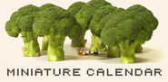 Miniature Calendar Banner