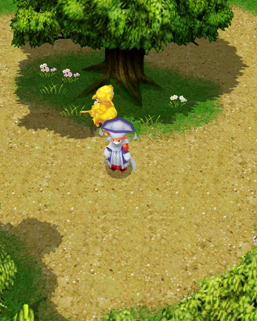 Chocobo Woods Final Fantasy Wiki Fandom