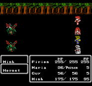 Final Fantasy II (NES).