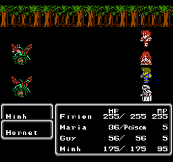 Final Fantasy II (NES).