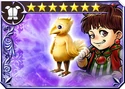 Chocobo Suit (IV)