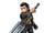 Gladiolus Amicitia (Opera Omnia)