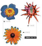 Magus-Sisters'-Flowers.png (72 KB) Magus Sisters' Flowers.