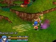 Final Fantasy Crystal Chronicles: Echoes of Time.