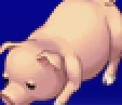 Pig portrait for Cecil, Rosa, and Kain in Final Fantasy IV: The After Years (PSP).