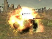 Self-Destruct in Final Fantasy XI.