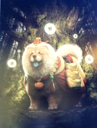 FFBE Fan Festa Chow.png (1.6 MB) Chow.