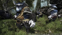 Vunda Tribe Vanu Vanu