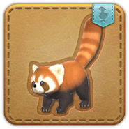 La mascota Lesser Panda obtenible en Aery.