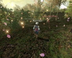 FFXI Dream Flower