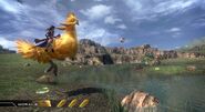 Fang montando um chocobo.