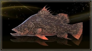 Dynnel-Barramundi-FFXV.png