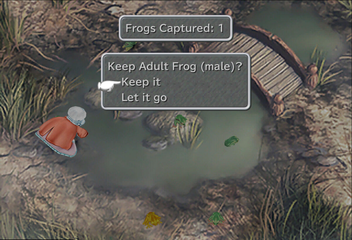 Frog catching | Final Fantasy Wiki | Fandom