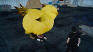 Yjhimei stuck under a chocobo in FFXV