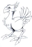 Chocobo FFVII Sketch 2