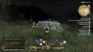 FFXIV Levelup