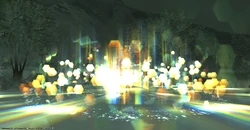 Heart of Light.