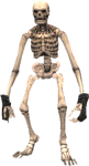 Skeleton 1 (FFXI)