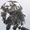 Tonitrus Lucis Caelum
