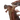 Elder Drake X2 portrait