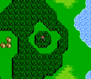 A Chocobo Forest on the world map in Final Fantasy III (NES).