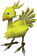 Chocobo