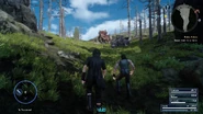 Malmalam-Thicket-Bandersnacth-FFXV.png (1.99 MB)