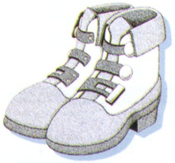 Miracle Shoes | Final Fantasy Wiki | Fandom