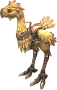 Rental Chocobo.