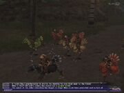 FFXI Chocobo Racing Fatigue