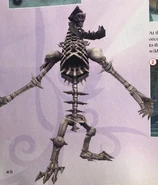 Skeleton