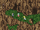 FFVI PC Dragon's Den Entrace.png