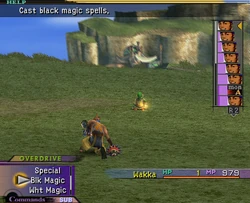 Wakka in Critical (25%) in Final Fantasy X.