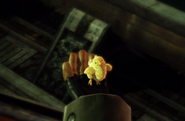 Sazh's baby chocobo.