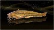 Golden Catfish.jpg