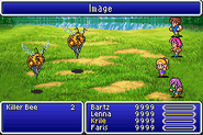 Final Fantasy V.