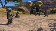 Nhagi'a ambushed from FFXIV